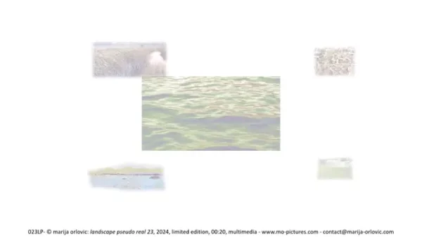 023LP landscape pseudo real 23