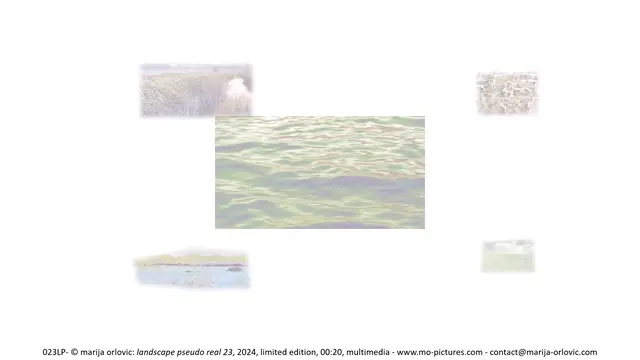 023LP landscape pseudo real 23