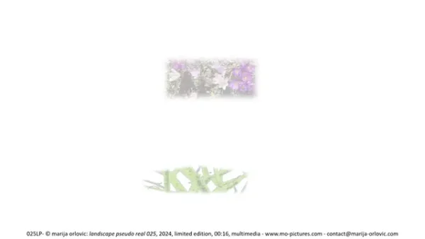025LP landscape pseudo real 025