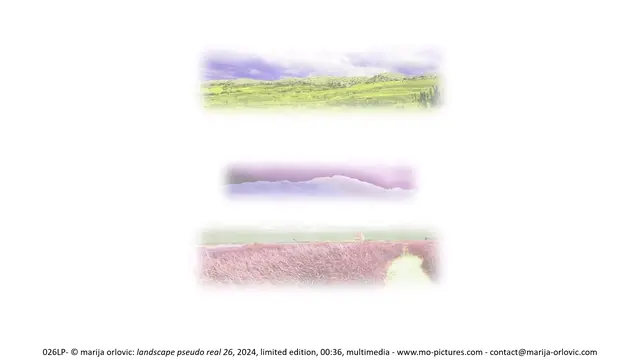 026LP landscape pseudo real 26