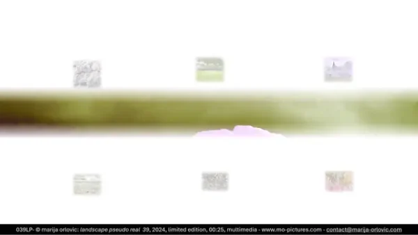 039LP landscape pseudo real 39