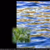 043LP landscape pseudo real 43