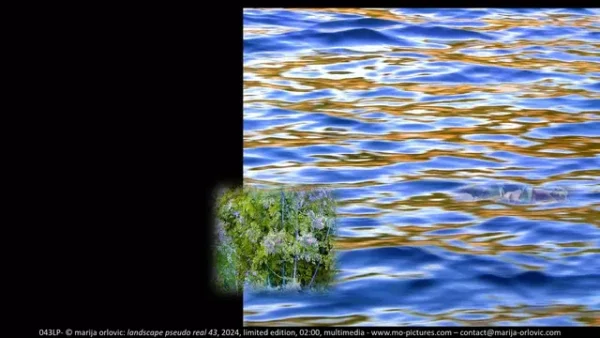 043LP landscape pseudo real 43