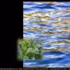 043LP landscape pseudo real 43