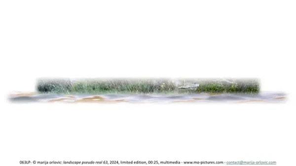 063LP landscape pseudo real 63