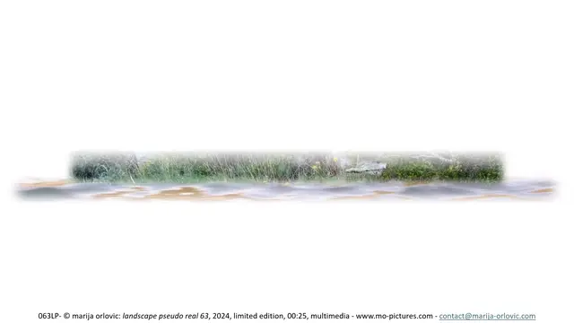063LP landscape pseudo real 63