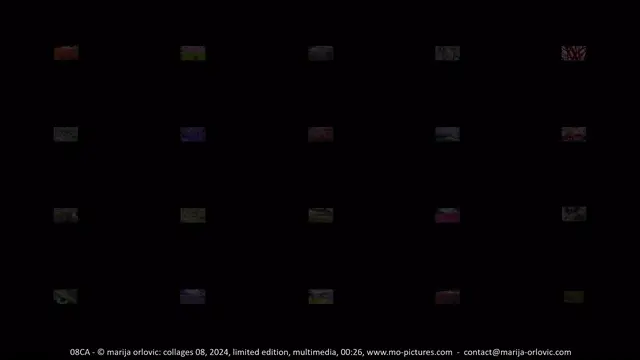 08CA  collages 08
