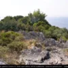 011PC patterns Croatia 11