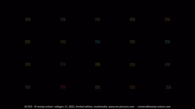 017CD collages 17