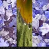 020P patterns 20