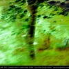 046P patterns 46