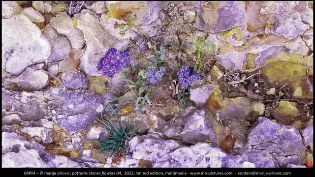 04PM patterns stones flowers 04