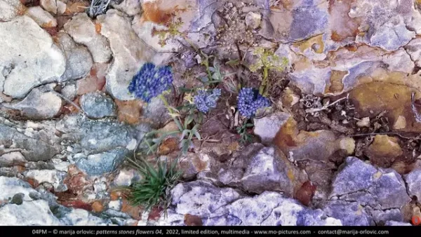 04PM patterns stones flowers 04