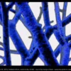 054P patterns 54