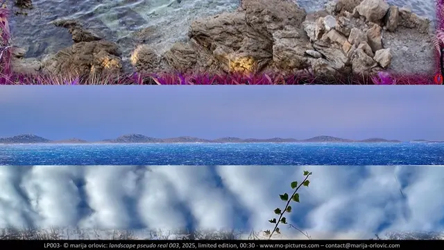LP003 Landscape pseudo real