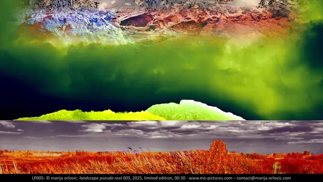 LP005 Landscape pseudo real