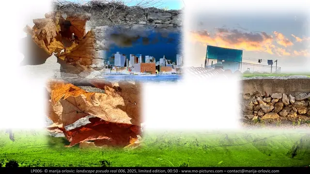LP006 Landscape pseudo real