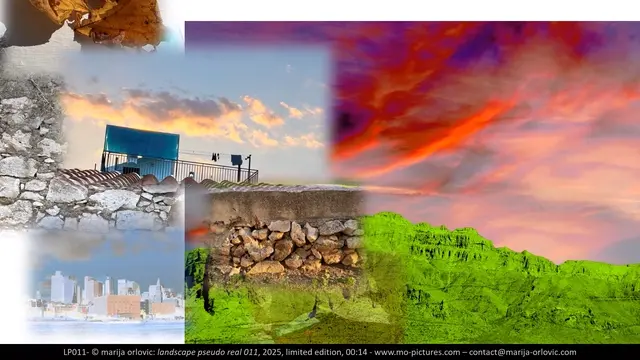 LP011 Landscape pseudo real