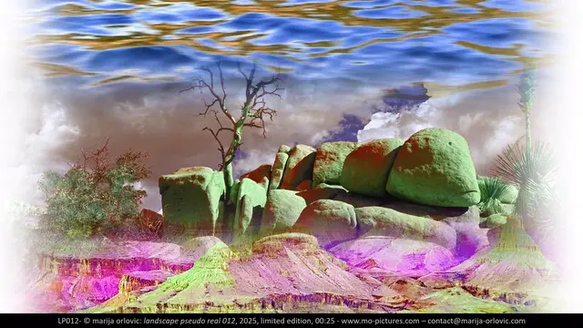 LP012 Landscape pseudo real