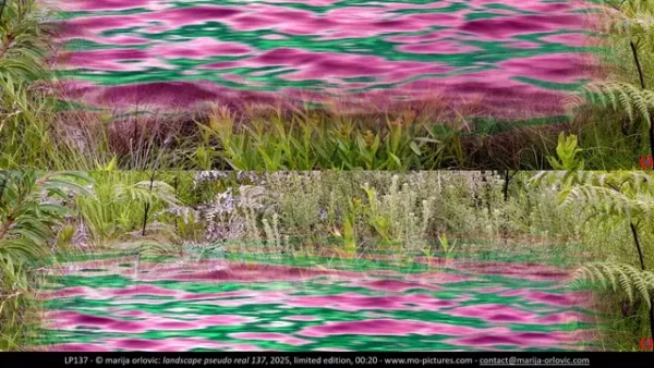 LP137 landscape pseudo real