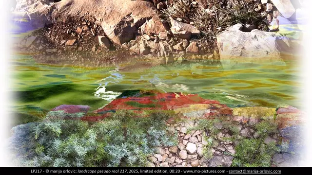LP217 landscape pseudo real