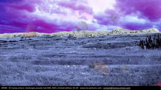 LP040 landscape pseudo real