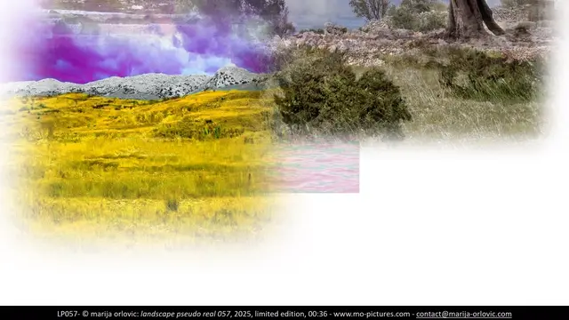LP057 landscape pseudo real