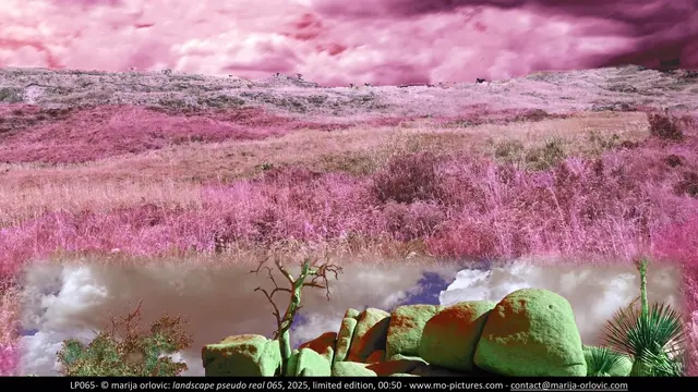 LP065 landscape pseudo real
