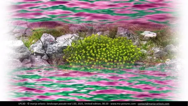 LP130 landscape pseudo real