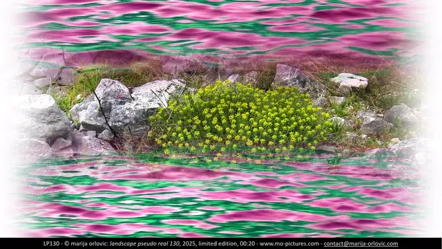 LP130 landscape pseudo real