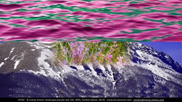 LP142 landscape pseudo real