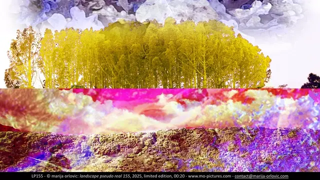 LP155 landscape pseudo real