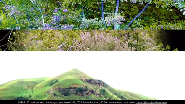 LP186 landscape pseudo real