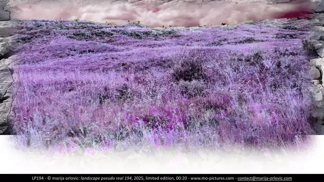 LP194 landscape pseudo real