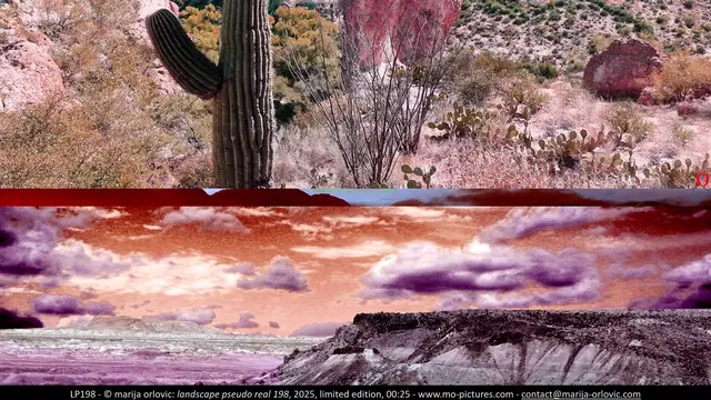 LP198 landscape pseudo real