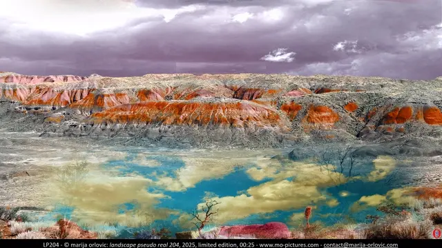 LP204 landscape pseudo real