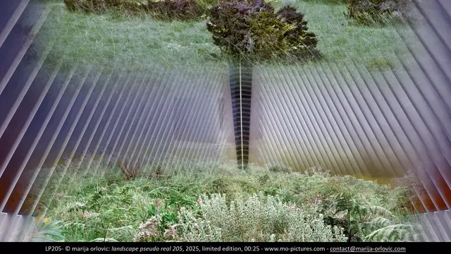 LP205 landscape pseudo real