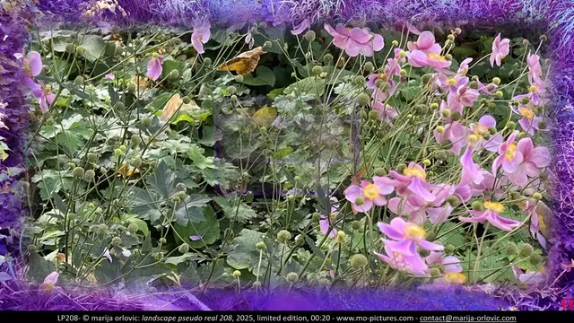 LP208 landscape pseudo real