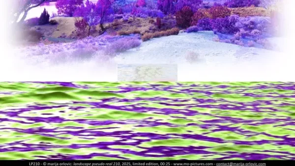 LP210 landscape pseudo real