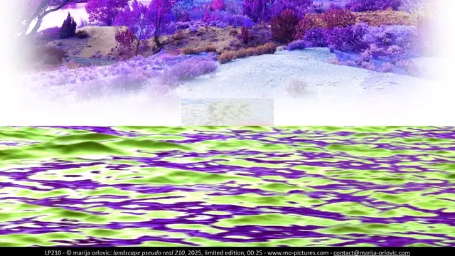 LP210 landscape pseudo real