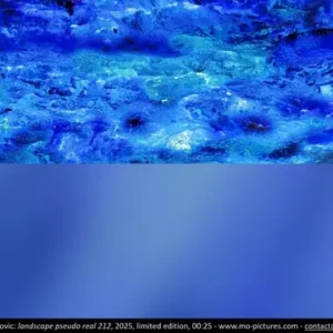 LP212 landscape pseudo real