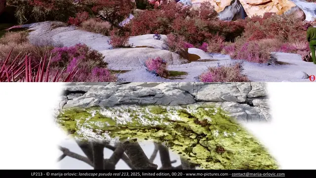 LP213 landscape pseudo real