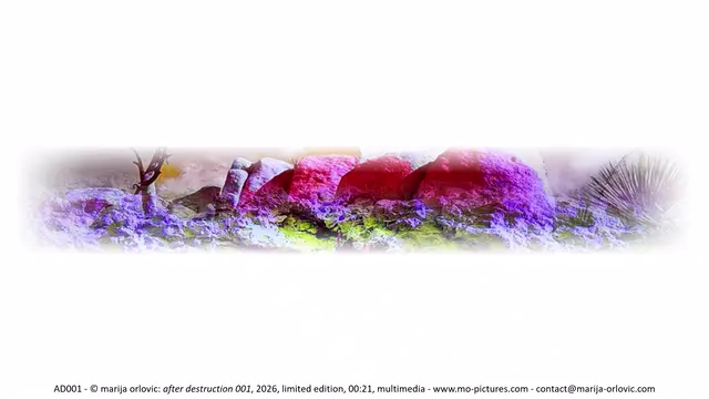 AD001 after destruction 001