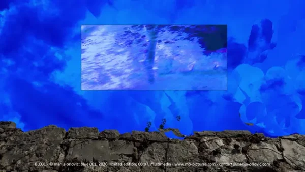 BL001 blue 001_sample0 BL001 blue 001