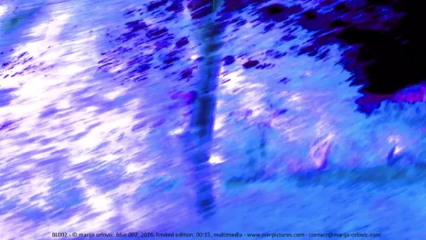 BL002 blue 002_sample0 BL002 blue 002