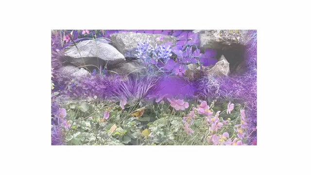 FL002 flowers 002