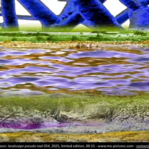 LP154 landscape pseudo real