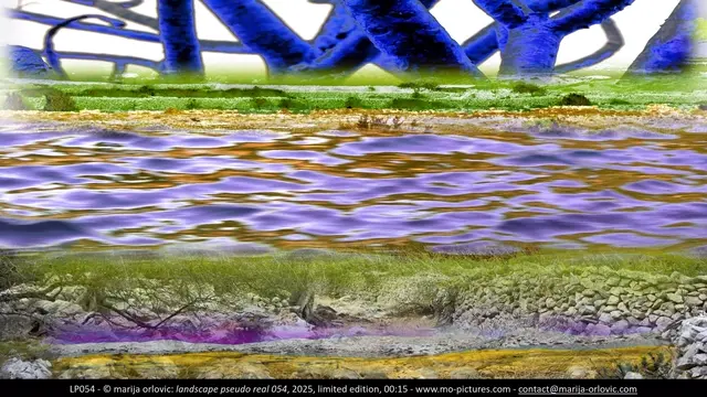 LP154 landscape pseudo real