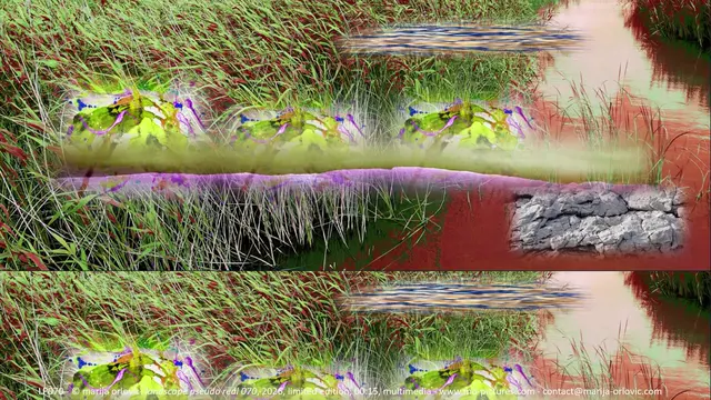 LP070 landscape pseudo real 070