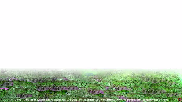 LP076 landscape pseudo real 076